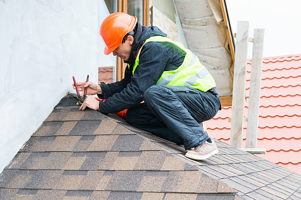 Best Sealant for Roof  in Appleton City, MO